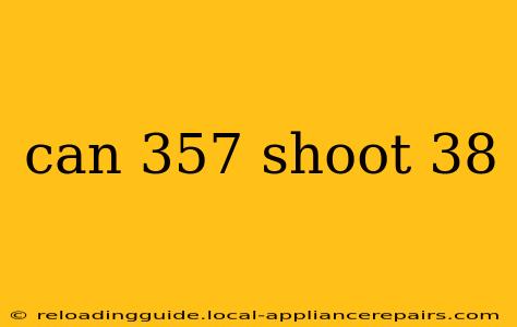 can 357 shoot 38