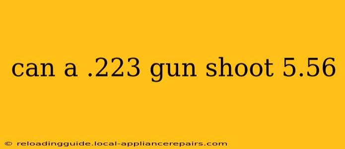 can a .223 gun shoot 5.56