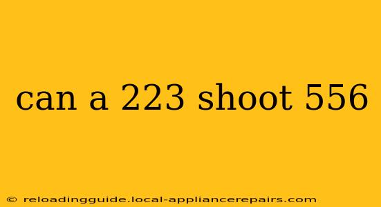 can a 223 shoot 556