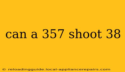 can a 357 shoot 38