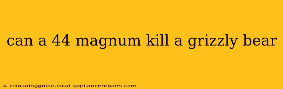 can a 44 magnum kill a grizzly bear