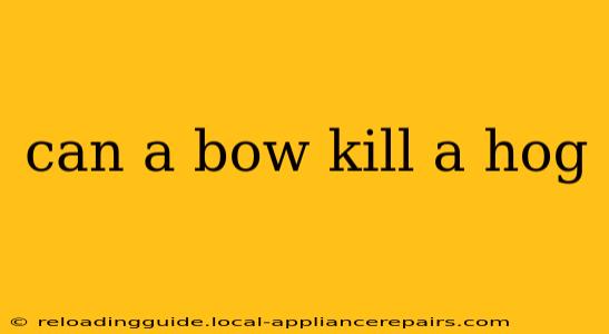 can a bow kill a hog