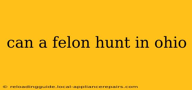 can a felon hunt in ohio