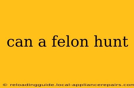 can a felon hunt