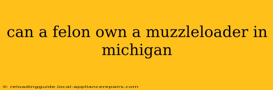 can a felon own a muzzleloader in michigan