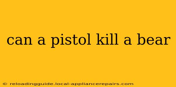 can a pistol kill a bear