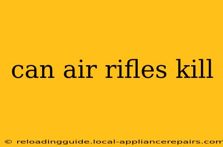 can air rifles kill