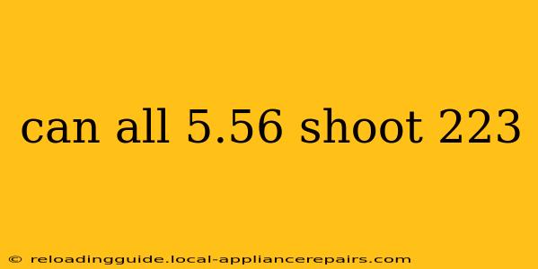 can all 5.56 shoot 223