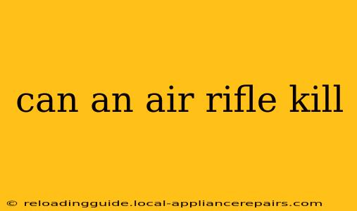 can an air rifle kill