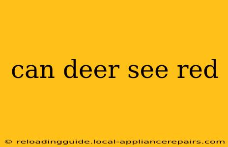 can deer see red