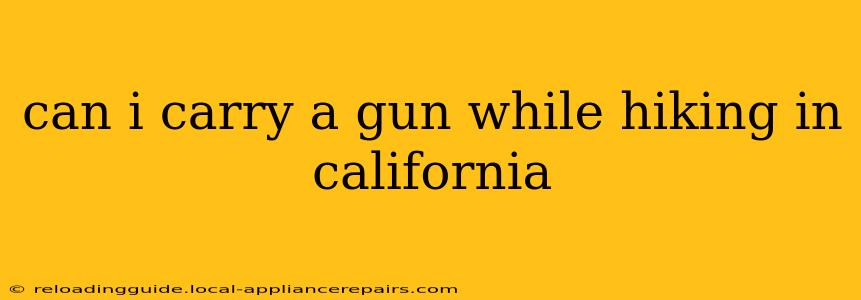 can i carry a gun while hiking in california