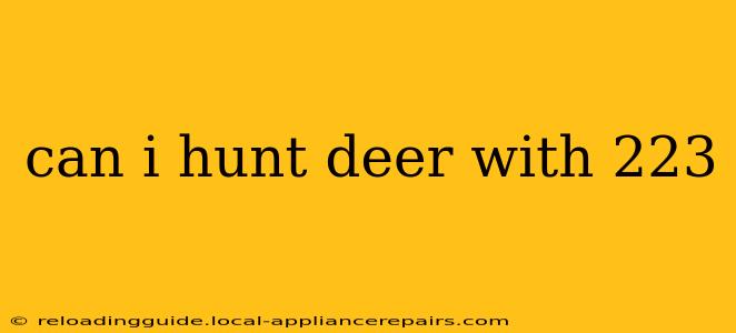 can i hunt deer with 223