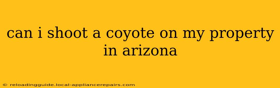 can i shoot a coyote on my property in arizona