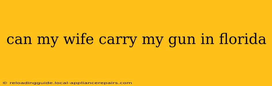 can my wife carry my gun in florida