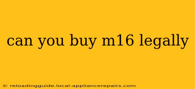 can you buy m16 legally