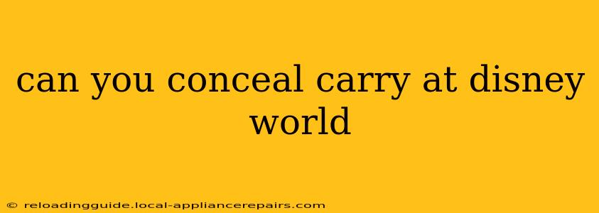 can you conceal carry at disney world