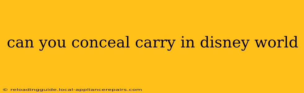 can you conceal carry in disney world