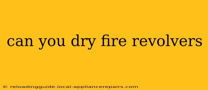 can you dry fire revolvers