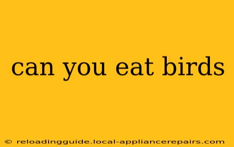 can you eat birds