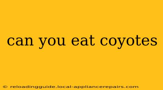 can you eat coyotes