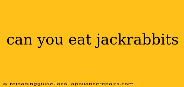 can you eat jackrabbits