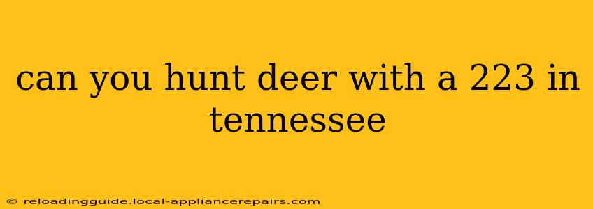 can you hunt deer with a 223 in tennessee