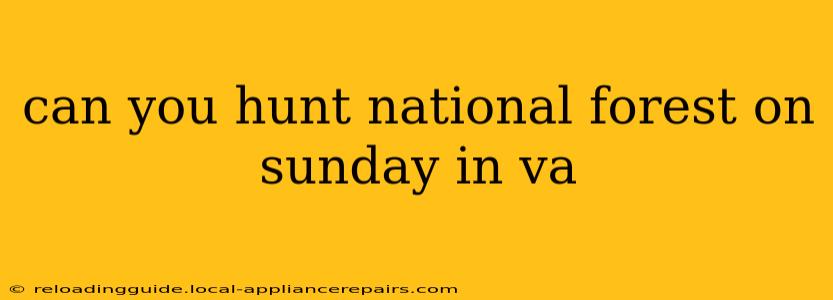 can you hunt national forest on sunday in va