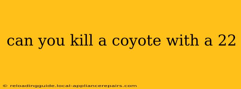 can you kill a coyote with a 22