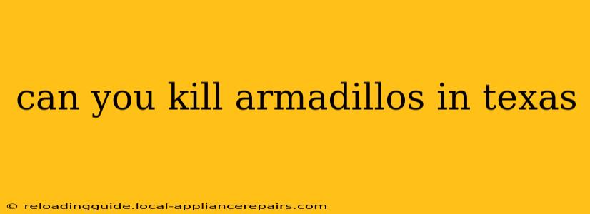 can you kill armadillos in texas