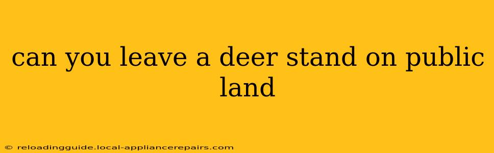 can you leave a deer stand on public land