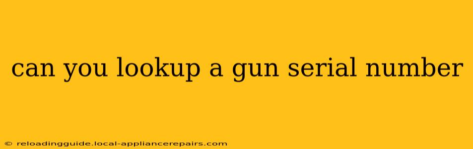 can you lookup a gun serial number