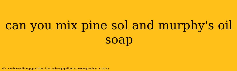 can you mix pine sol and murphy's oil soap