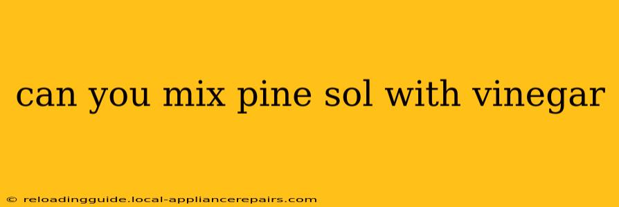 can you mix pine sol with vinegar