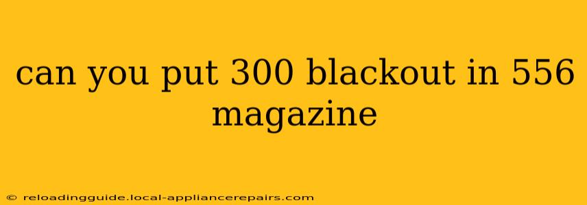 can you put 300 blackout in 556 magazine