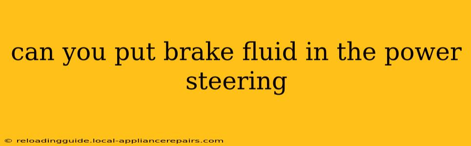 can you put brake fluid in the power steering