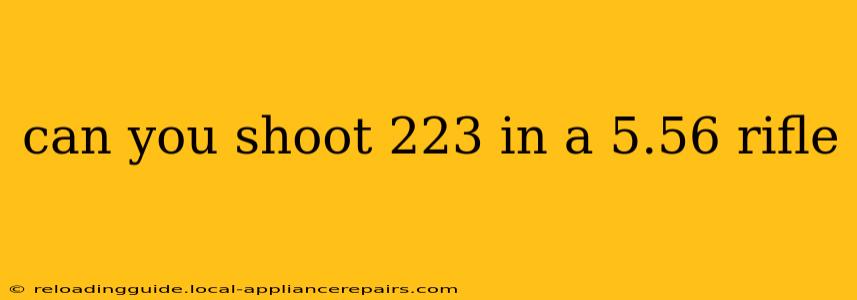 can you shoot 223 in a 5.56 rifle