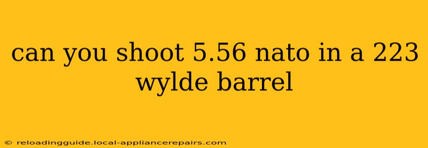 can you shoot 5.56 nato in a 223 wylde barrel