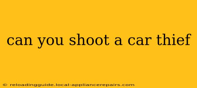 can you shoot a car thief