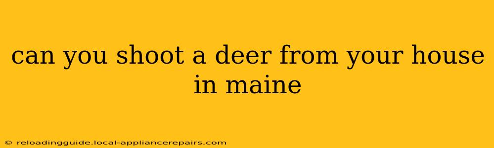 can you shoot a deer from your house in maine