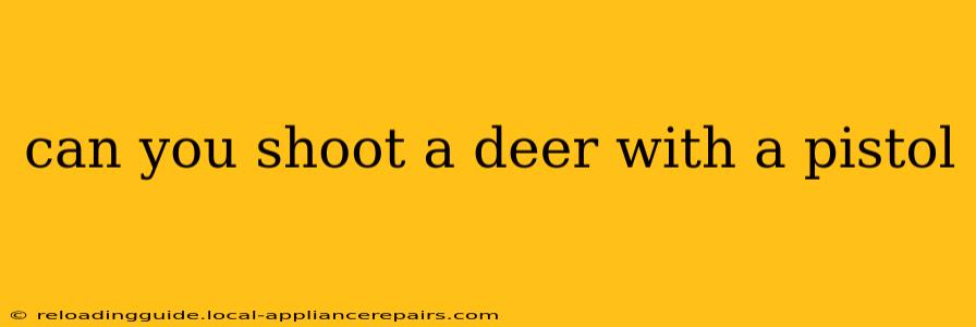 can you shoot a deer with a pistol