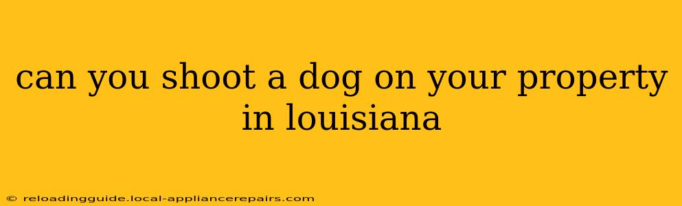 can you shoot a dog on your property in louisiana