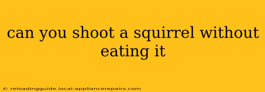 can you shoot a squirrel without eating it