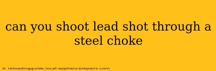 can you shoot lead shot through a steel choke