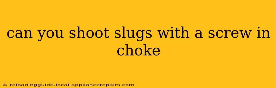 can you shoot slugs with a screw in choke