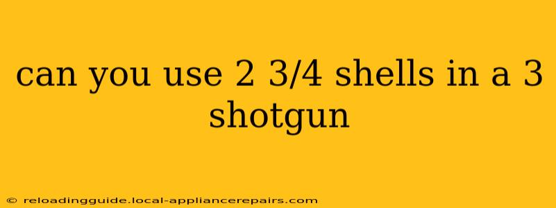 can you use 2 3/4 shells in a 3 shotgun