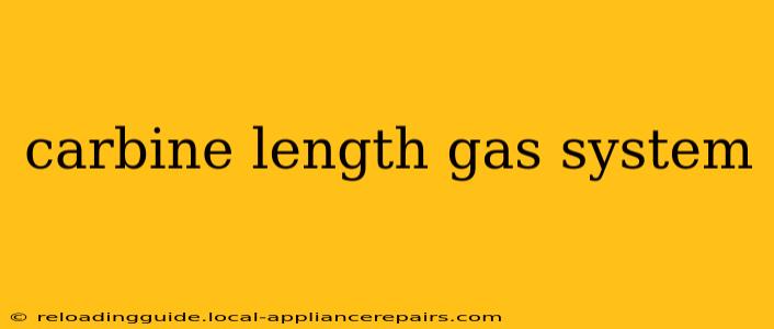 carbine length gas system