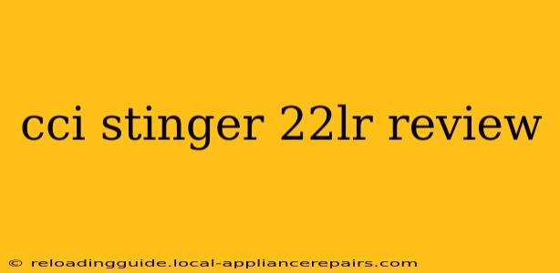 cci stinger 22lr review