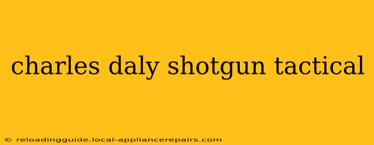 charles daly shotgun tactical