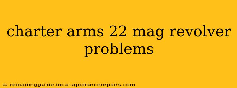 charter arms 22 mag revolver problems