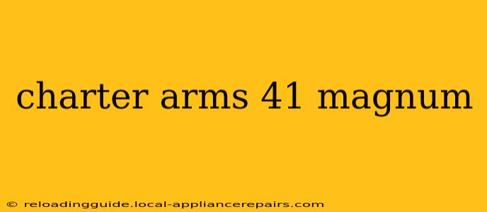 charter arms 41 magnum